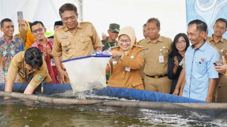 Bupati Lilis Resmikan Samsat Budiman dan Panen Nila Sistem RAS