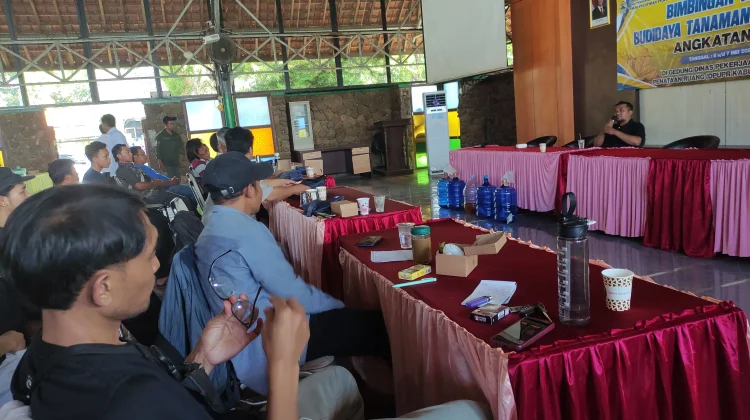 Petani Tembakau Tegal Ikut Bimtek, Dorong Kualitas Hasil Panen