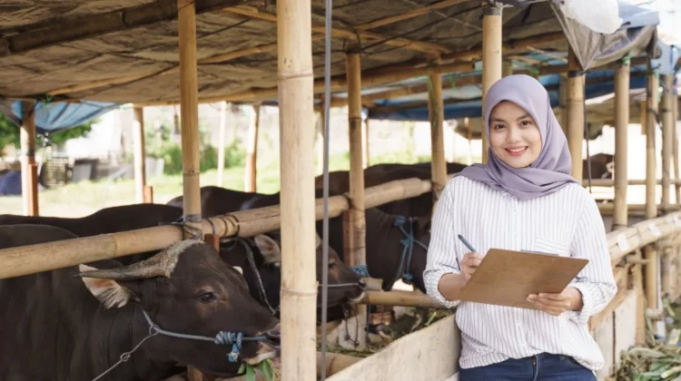 Menjelang Idul Adha, Simak Syarat Sah Hewan Kurban Menurut Ketentuan BAZNAS