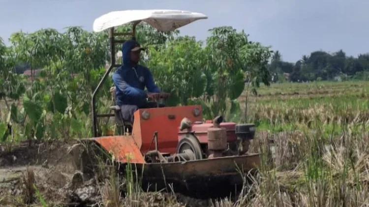 BUMDes Karangjati Gunakan Traktor Perahu untuk Percepat Masa Tanam