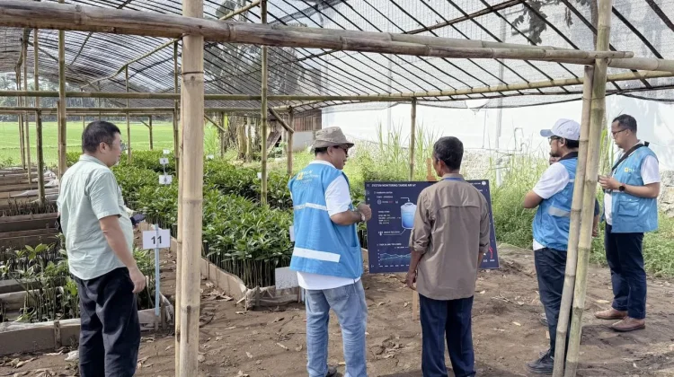 Dukung Konservasi, PLN EPI Hadirkan Rumah Bibit Mangrove Modern di Bunton