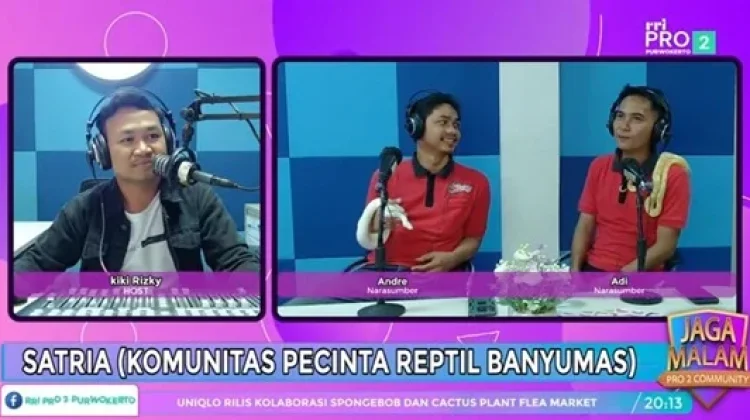 Komunitas Satria Banyumas Edukasi Masyarakat Soal Reptil dan Pelestariannya