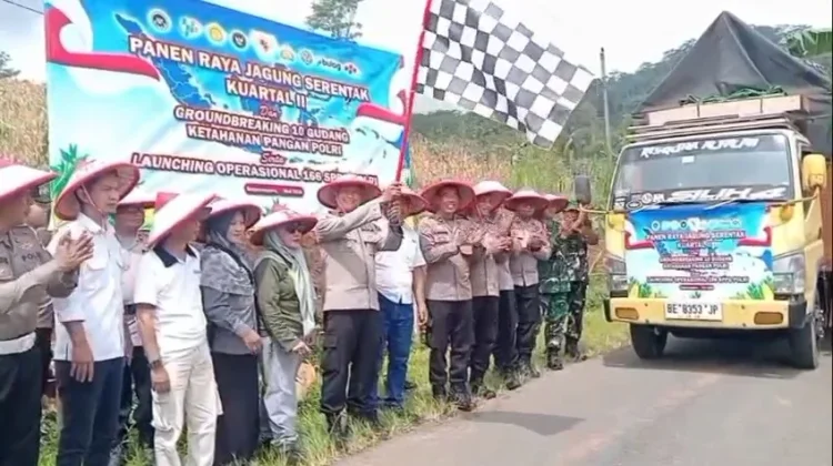 Panen Raya Jagung di Banjarnegara, Harga Stabil Bikin Petani Kembali Semangat