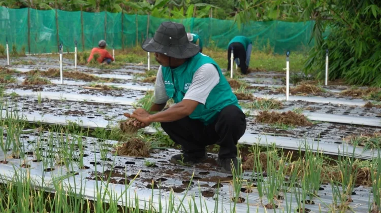 Komitmen Berkelanjutan PLTU Adipala, Manfaatkan FABA Lebih Bermakna