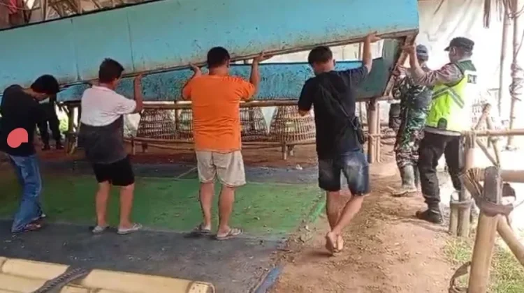 Arena Sabung Ayam di Ayah Dibongkar Polres Kebumen