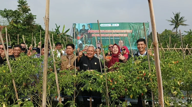 Regenerasi Petani Muda Banyumas Didorong lewat Agritransform