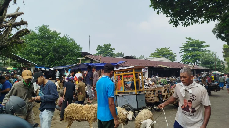 Menjelang Idul Adha, Stok Kambing di Pasar Hewan Purbalingga Melonjak