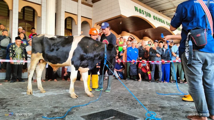 JULEHA Banyumas Pastikan Daging Kurban Halal dan Sesuai Syariat