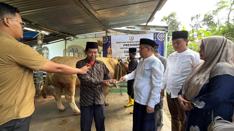 Sekda Banjarnegara Serahkan Sapi 1,2 Ton Bantuan Hewan Kurban Presiden RI