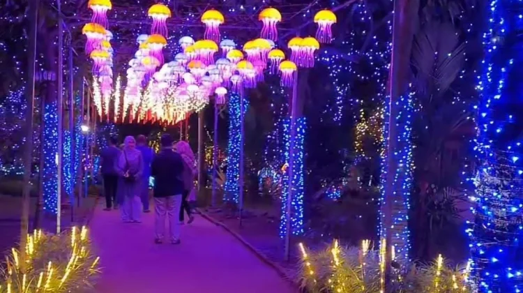 Lumiland Hadir di Taman Mas Kemambang, Wisata Lampu Tematik Ramaikan Purwokerto