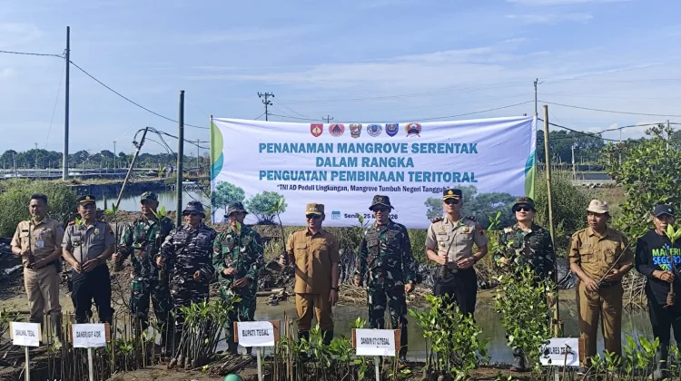 Penanaman Mangrove Serentak Jadi Wujud Sinergitas TNI-Polri