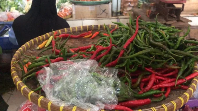 Sempat Melonjak, Harga Cabai Rawit Mulai Turun