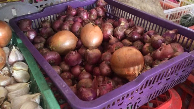 Pasca Iduladha Harga Bawang Merah Melonjak, Bawang Putih Melandai