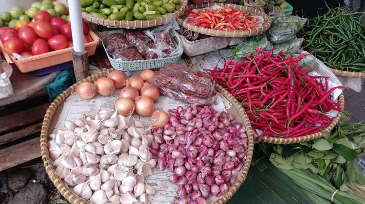 Petani Cabai Banyumas Diminta Siapkan Strategi Hadapi Musim Kemarau