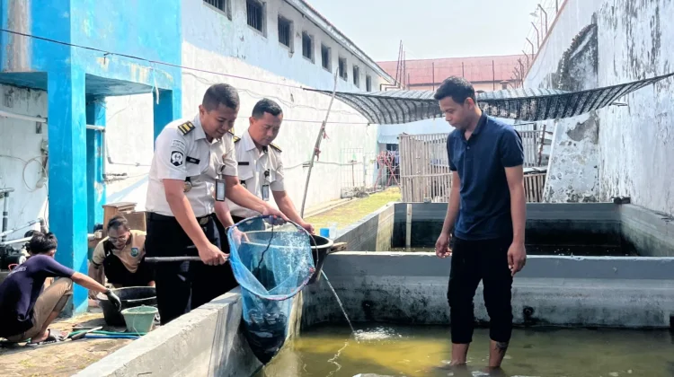 Wujud Nyata Ketahanan Pangan dan Pembinaan Produktif, Lapas Brebes Panen Lele