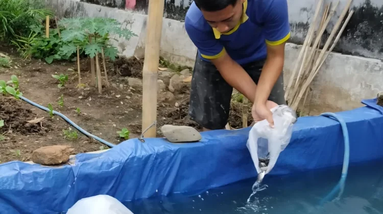Optimalkan Pembinaan Kemandirian, Rutan Banyumas Tebar Benih Ikan Produktif