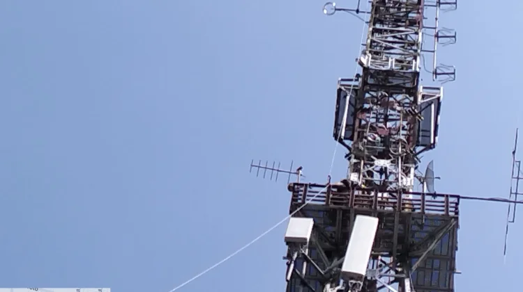 Mengenal Jenis- Jenis Antena Radio