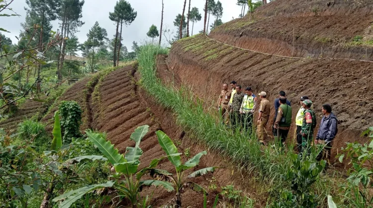 Enam Penggarap Hentikan Perambahan Hutan di Plorengan, Banjarnegara