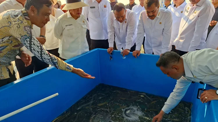Ketua Komisi IV DPR RI Tinjau Program Ketahanan Pangan di Nusakambangan