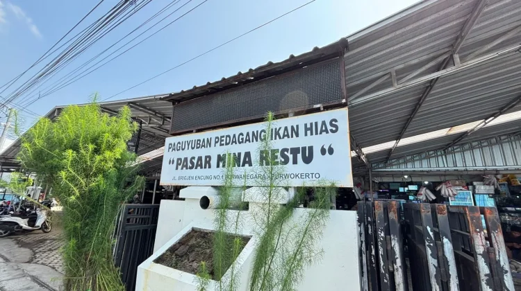 Pedagang Ikan Hias di Purwokerto Keluhkan Dampak Pemadaman Listrik