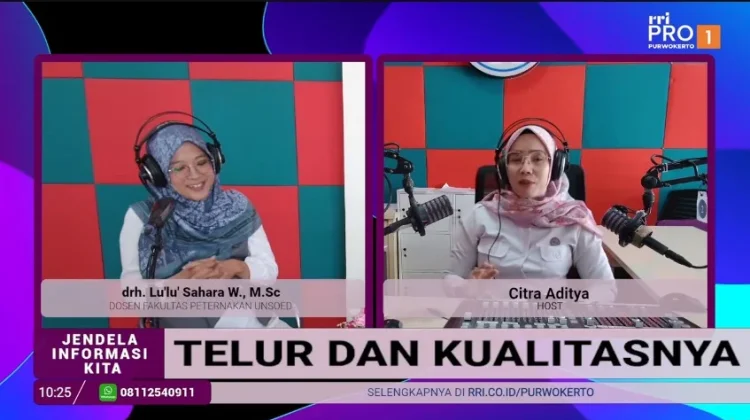 Cara Memilih Telor Berkualitas: Membedakan Telur Segar, Fresh, dan Sudah Lama