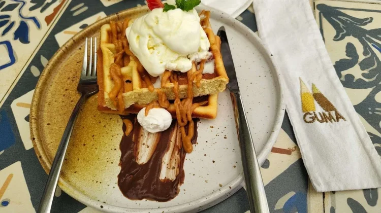 Waffle Ice Cream: Kombinasi Crispy dan Creamy yang Bikin Nagih
