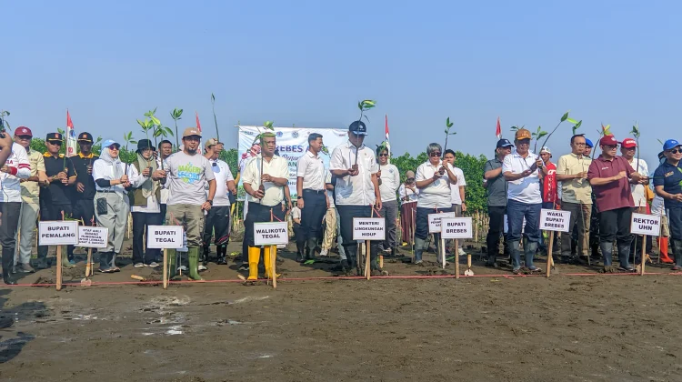 Dies Natalis Pertama UHN Tegal Diisi Penanaman 2.045 Mangrove di Pesisir Brebes