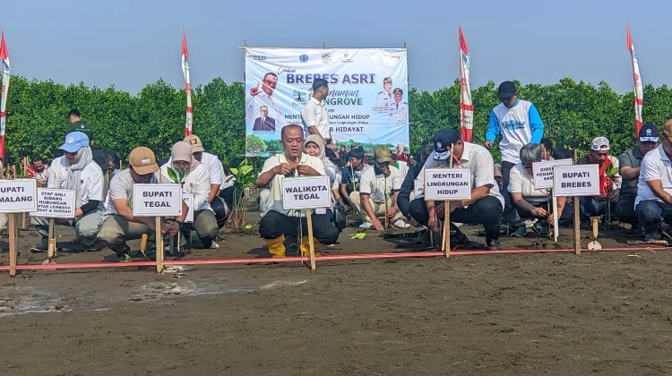 Menteri Lingkungan Hidup Ajak Perkuat Penanaman Mangrove, Tekan Abrasi Pantura