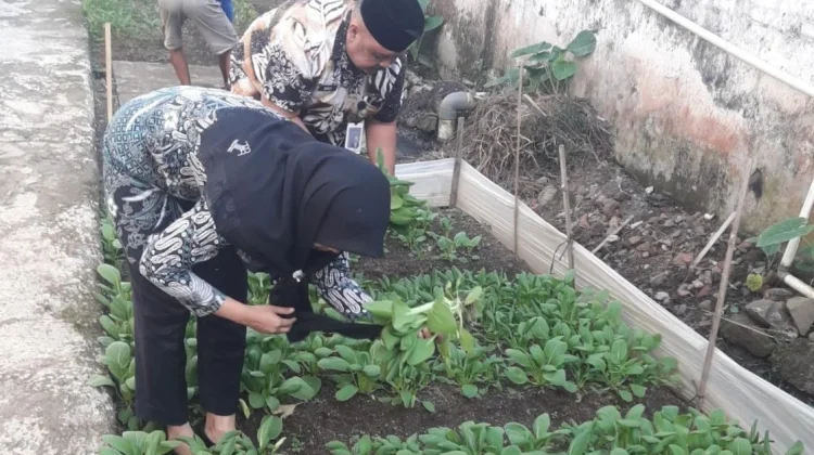Panen Sayuran Rutan Banyumas Capai 100 Kilogram, Bentuk Program Ketahanan Pangan