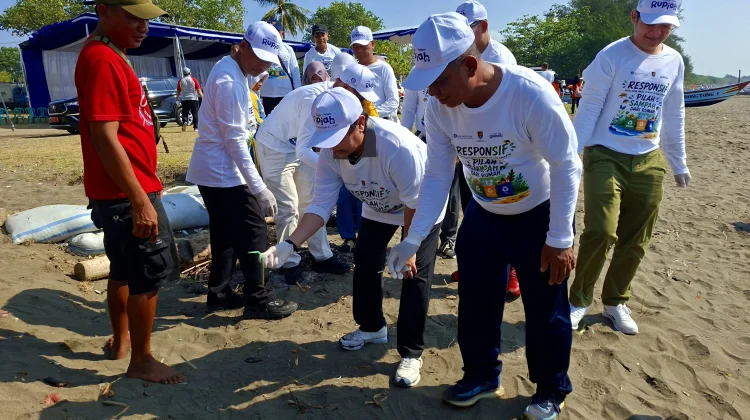 Pemkab Cilacap dan BI Purwokerto Bersih-Bersih Teluk Penyu hingga Lepas 50 Tukik