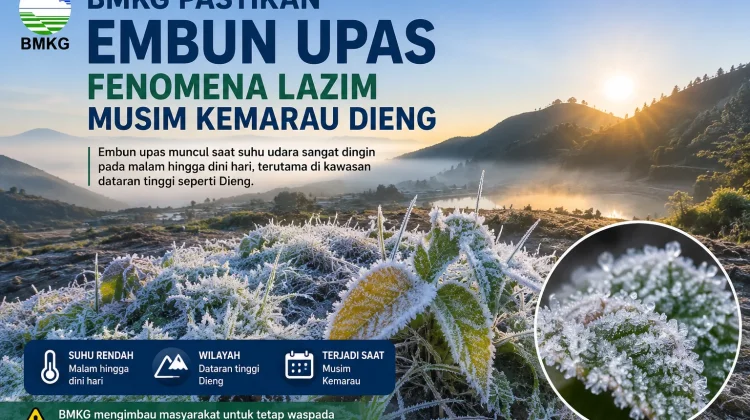 Embun Upas Kembali Muncul, BMKG Sebut Fenomena Alam Musiman