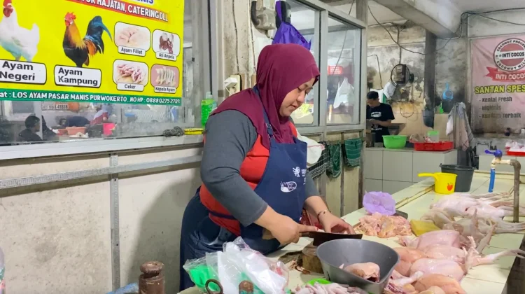 Harga Ayam Naik jelang Masuk Sekolah, Pedagang Sebut Bukan Dampak Program MBG