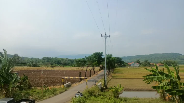 Cuaca Purwokerto Berawan, Potensi Kebakaran Lahan Perlu Diwaspadai