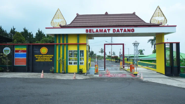 BBPTUHPT Baturraden Benahi Tata Kelola, Perketat Pengawasan Produksi Susu