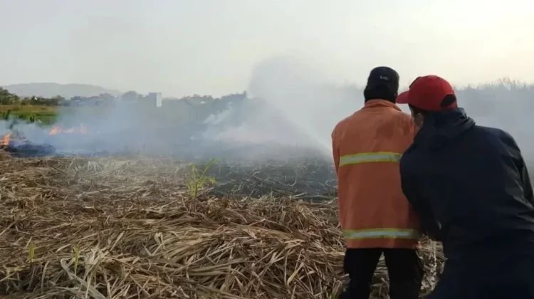 BPBD Banyumas Waspadai Potensi Karhutla Selama Musim Kemarau