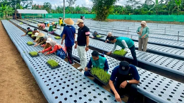 PLTU Adipala Jaga Keandalan Listrik hingga Dorong Pemberdayaan Masyarakat