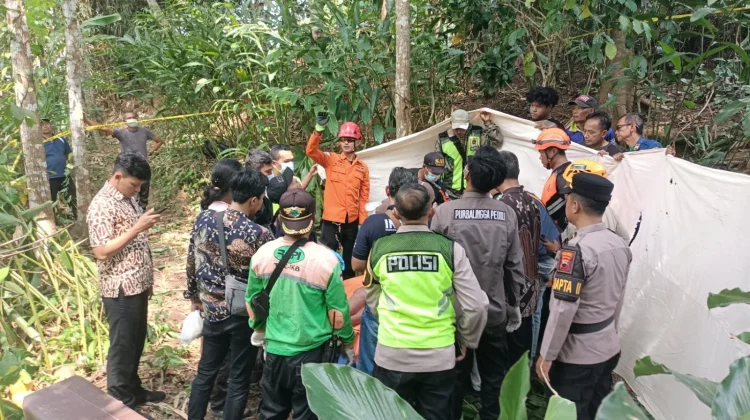 Lansia di Rembang Meninggal di Atas Pohon Kelapa, Diduga Akibat Sakit