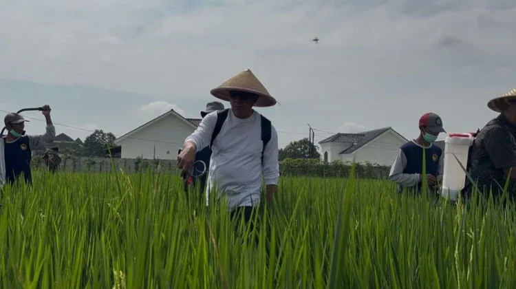 Pertanian Modern Jadi Fokus, Banyumas Siap Dukung Peningkatan Produksi