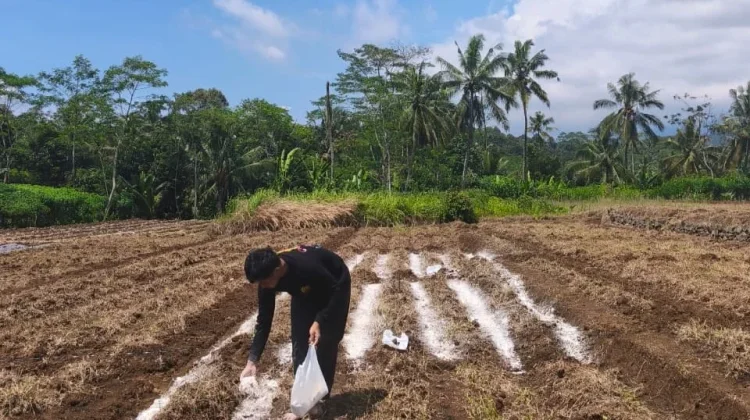Unsoed Dorong Regenerasi Petani Melalui Pertanian Modern