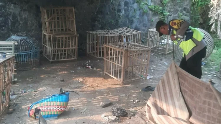 Polsek Margasari Tindak Lanjuti Laporan Warga, Bongkar Arena Judi Sabung Ayam