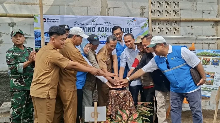 PLN EPI Terapkan Teknologi IoT di Rumah Bibit Mangrove Bunton