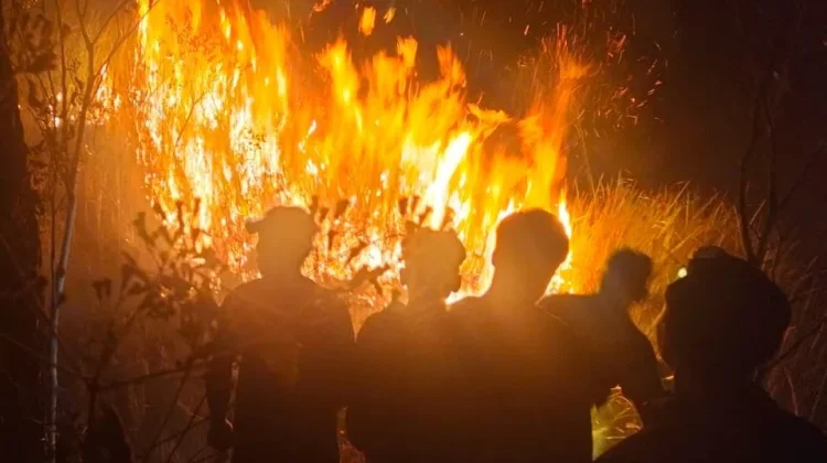 Empat Hektare Hutan di Ajibarang Terbakar Berhasil ditangani BPDB dan Warga