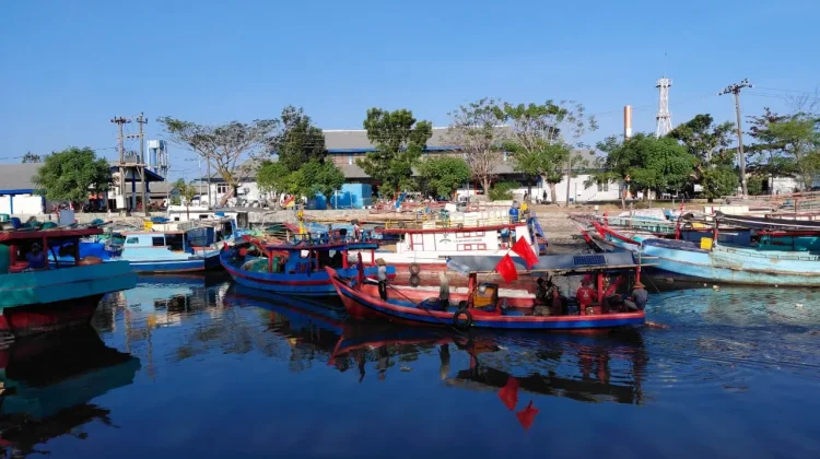 Musim Kemarau Bawa Berkah, Nelayan Cilacap Nikmati Peningkatan Hasil Tangkapan