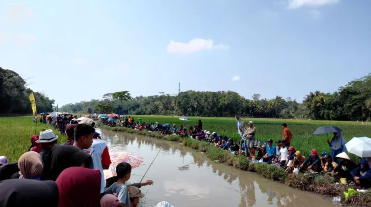 Ribuan Pemancing Meriahkan Lomba Mancing Kedawung, Sambut HUT ke-81 RI