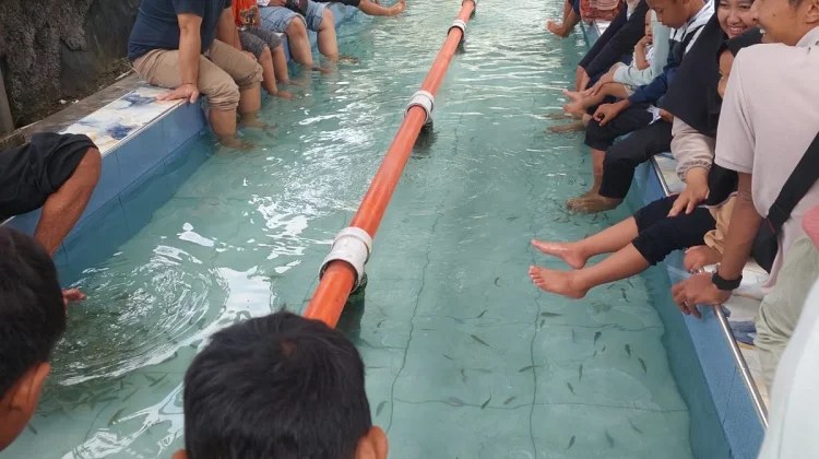 Terapi Ikan di Purbasari Pancuran Mas Jadi Daya Tarik Wisatawan