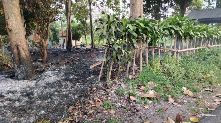 Ancaman Karhutla Meningkat, Warga Diminta Waspada di Kawasan Hutan