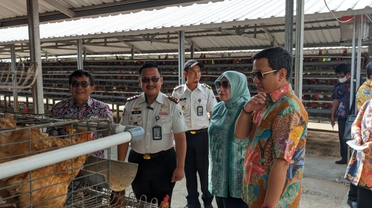 Pemkot Pekalongan Pelajari Ketahanan Pangan Unggas di Nusakambangan