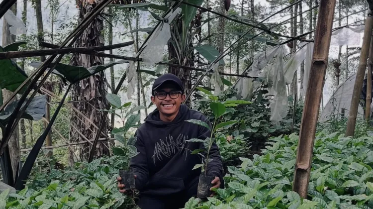 Petani Kopi Gen Z Pandansari Ekspor Produk Hingga ke Luar Negeri