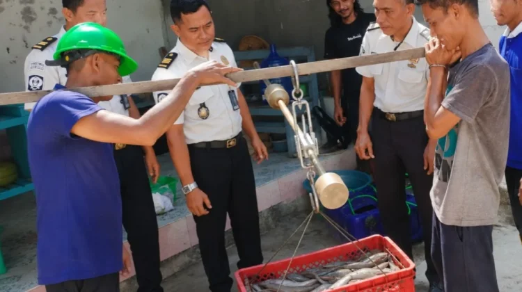 Dukung Ketahanan Pangan, Lapas Brebes Panen 220 Kg Lele Hasil Budidaya Warga Binaan