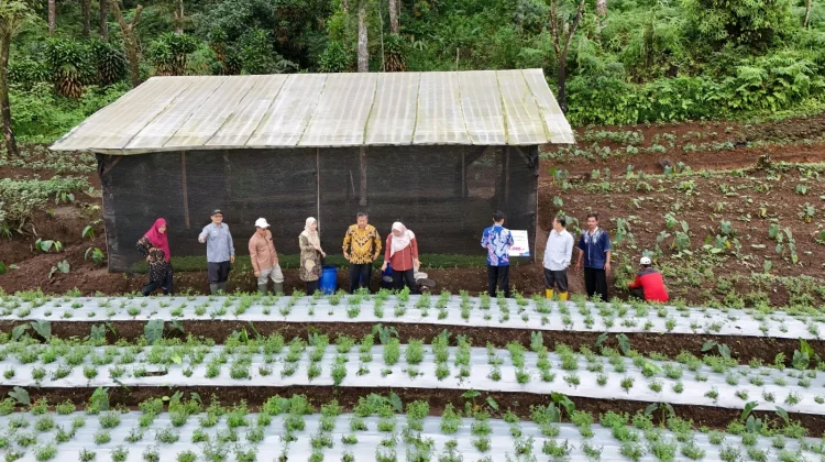 P2B UIN Saizu Bidik Hilirisasi dan Investasi Stevia